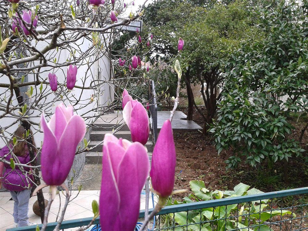 Apartments Herceg Novi Zewnętrze zdjęcie