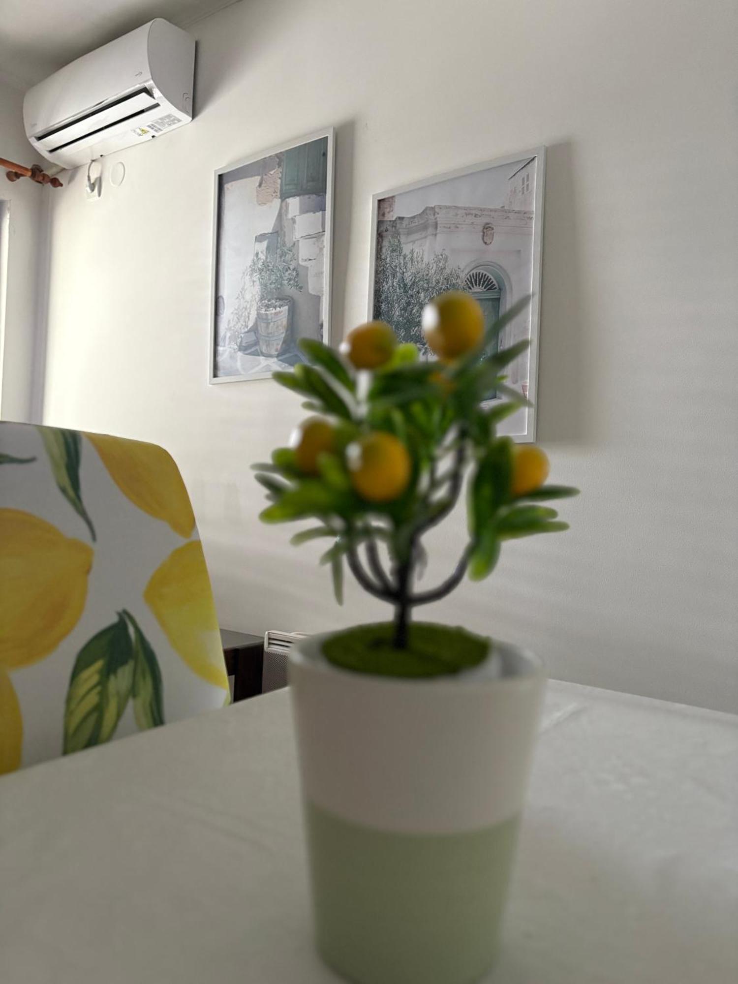 Apartments Herceg Novi Pokój zdjęcie