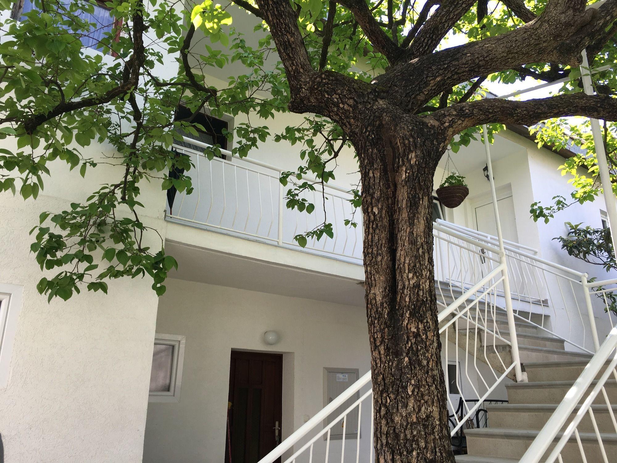 Apartments Herceg Novi Zewnętrze zdjęcie