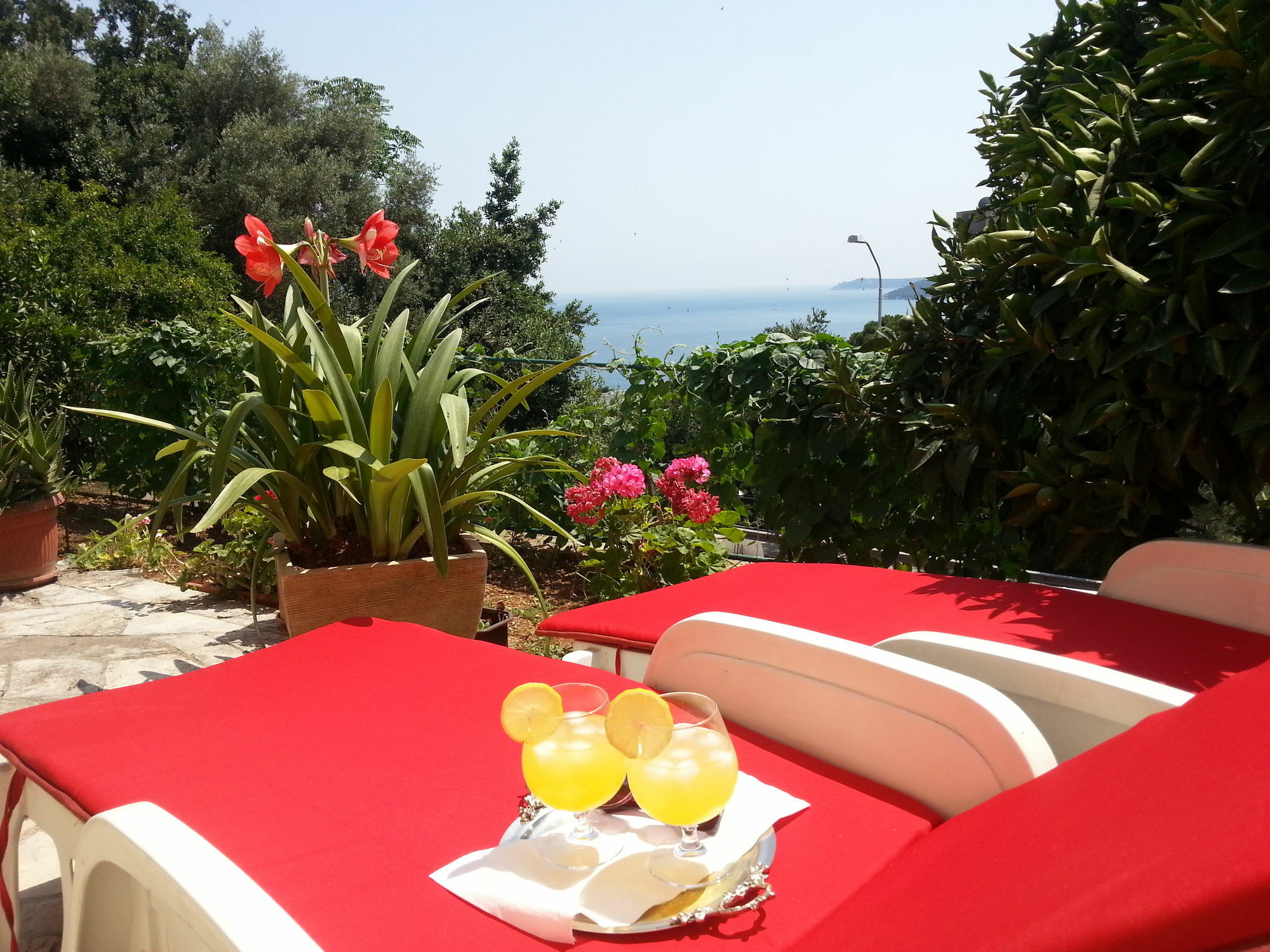 Apartments Herceg Novi Zewnętrze zdjęcie